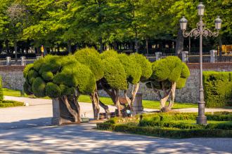 Parque de El Retiro
