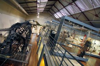 Museo Nacional de Ciencias Naturales
