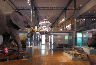 Museo de ciencias naturales.jpg