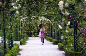 Rosaleda de El Retiro
