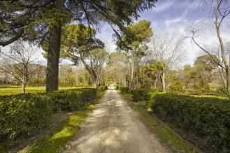 Quinta de Torre Arias