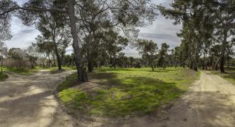 Quinta de Torre Arias