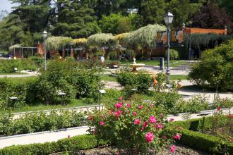Rosaleda Paseo del Rey