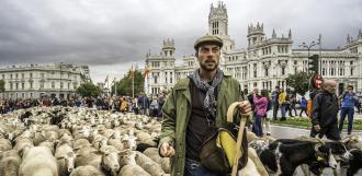 La Fiesta de la Trashumancia 2016