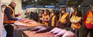 mercamadrid05.jpg