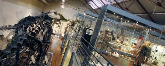 Museo Nacional de Ciencias Naturales