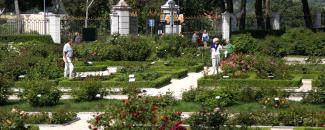 Rosaleda de Paseo del Rey