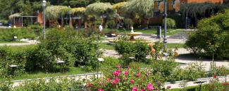 Rosaleda Paseo del Rey